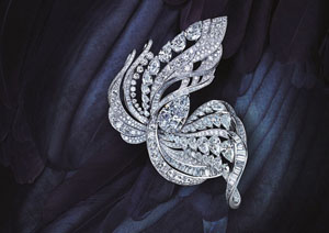 ȶ˹Imaginary Nature߼鱦