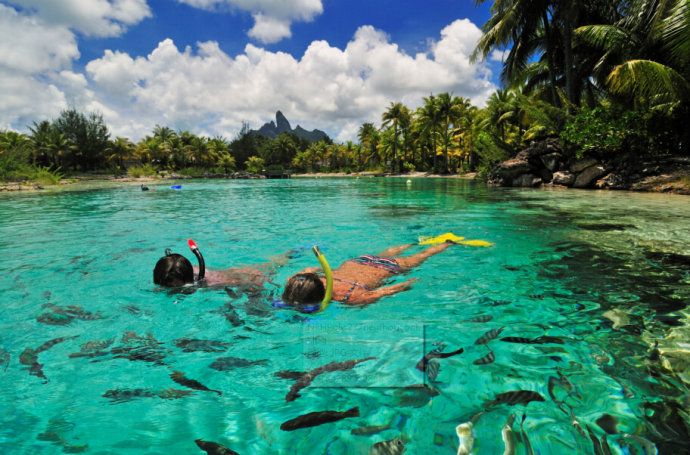 妙趣丰富 寓教于乐--波拉波拉瑞吉度假村私家礁湖园探索及浮潜特色之旅